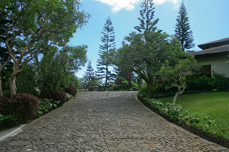 THE DROP OFF & PARKING