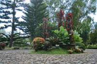 THE DROP OFF & PARKING