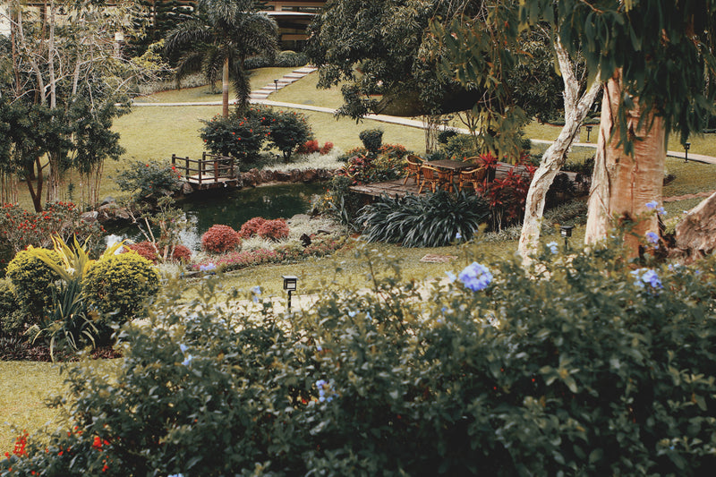 THE PARKLAND