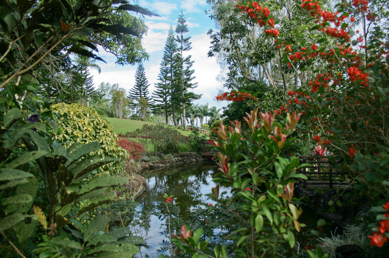 THE PARKLAND