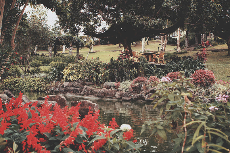 THE PARKLAND