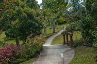 THE PARKLAND