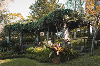 THE PARKLAND